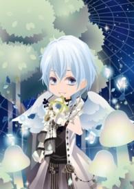 星辰花什么时候开