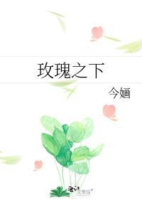 玫瑰之下讲什么