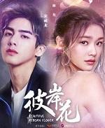 彼岸花的寓意