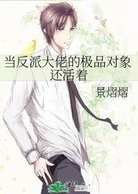 当反派大佬的极品对象还活着是主攻文吗