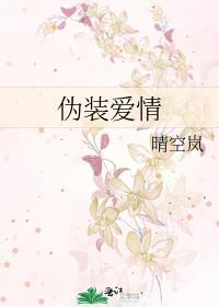伪装的爱是什么意思