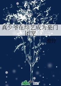 真少爷在综艺成为豪门团宠 番外