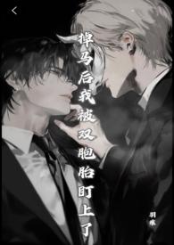 掉马掉马后我成了宠妃