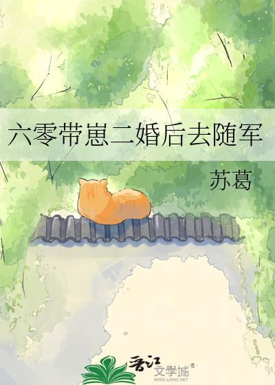 六零之二婚军嫂