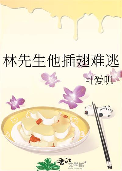 林先生他插翅难飞txt百度资源