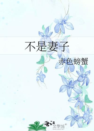 不是妻子唯一的丈夫