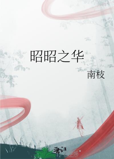 昭华之年大概多少岁