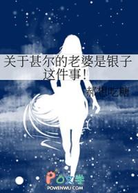 甚尔同人文有女儿推荐