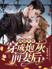 满级大佬穿成炮灰女配