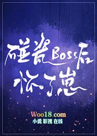 碰瓷boss后怀了崽笔趣网