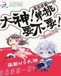 菜鸟vs高手视频