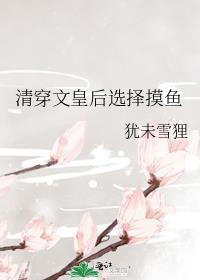 清穿文皇后选择摸鱼TXT