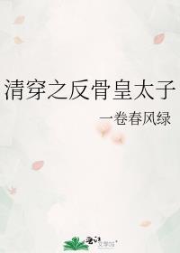 清穿之皇太子胤礽