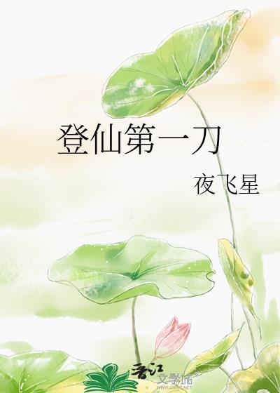 登仙第一刀夜飞星