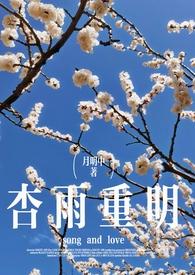 杏雨梨云解生肖
