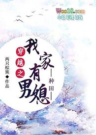 穿越之我家有男媳txt八零电子书