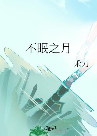 不眠之月作者禾刀