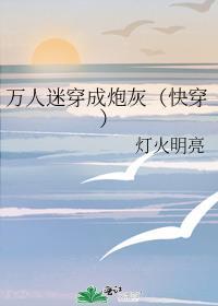 万人迷穿成炮灰(快穿 )晋江