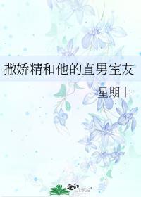 撒娇室友游戏攻略