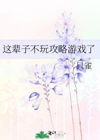 不玩这个游戏了叫什么