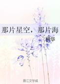 那片星空那片海2百度百科