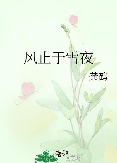 风止于雪夜by龚鹤