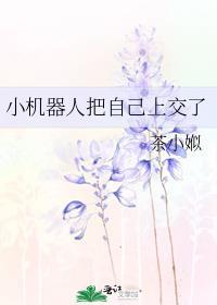 小机器人怎么用