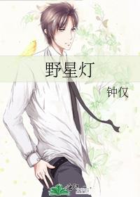 野星灯by钟仅