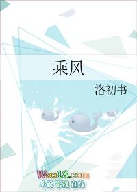乘风2026加更