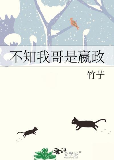 不知我哥是嬴政在线阅读