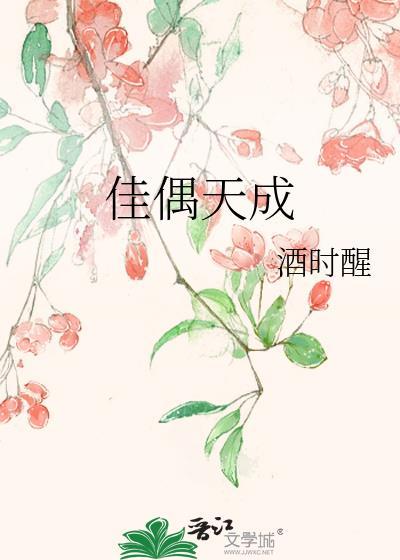 佳偶天成全文免费阅读