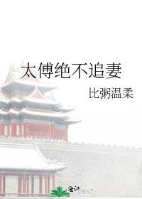 太傅绝不追妻附带番外