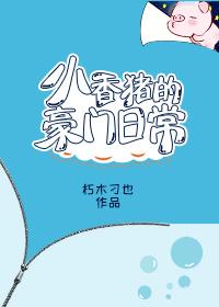 小香猪 宠物