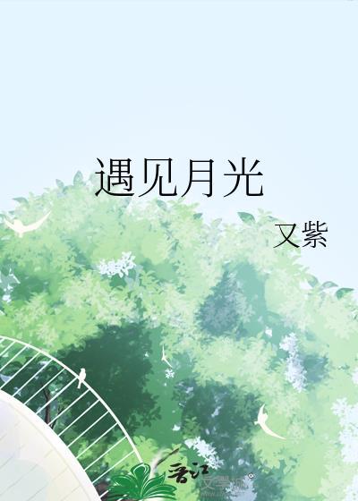 遇见最美的月光作文