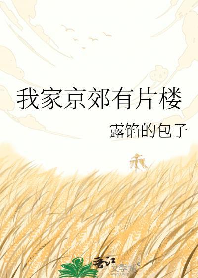 我家京郊有片楼全文