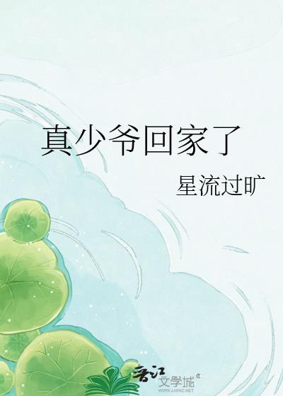 真少爷回家了by星流过旷txt