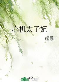 心机太子妃作者起跃