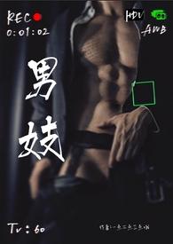 男妓是男娼的意思吗