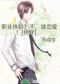 职业体验之了解篇