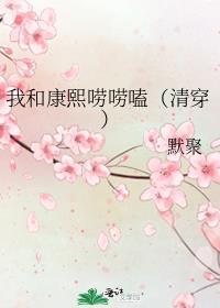 红楼咸鱼良妾