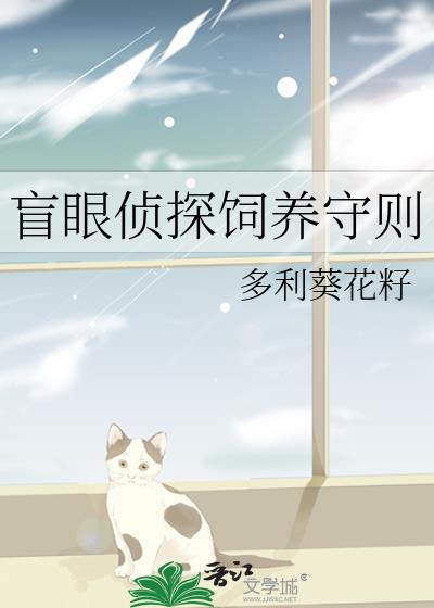 盲人侦探在线观看