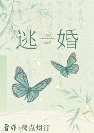 逃婚后去往何处全文免费阅读笔趣阁