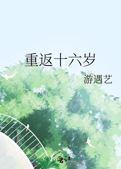 重返16岁第二部