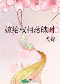 嫁给首府落魄时