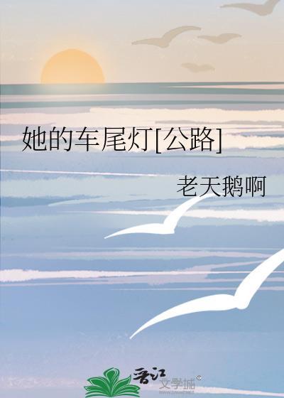她的车尾灯公路