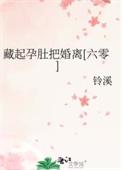 藏起孕肚把婚离[六零