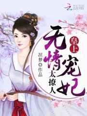 皇上宠妃