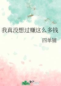 我真没想过赚这么多钱作者四单铺