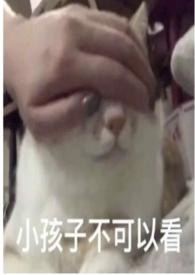 圈养蔷薇纯百全集免费观看
