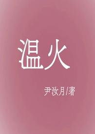温火txt全文阅读
